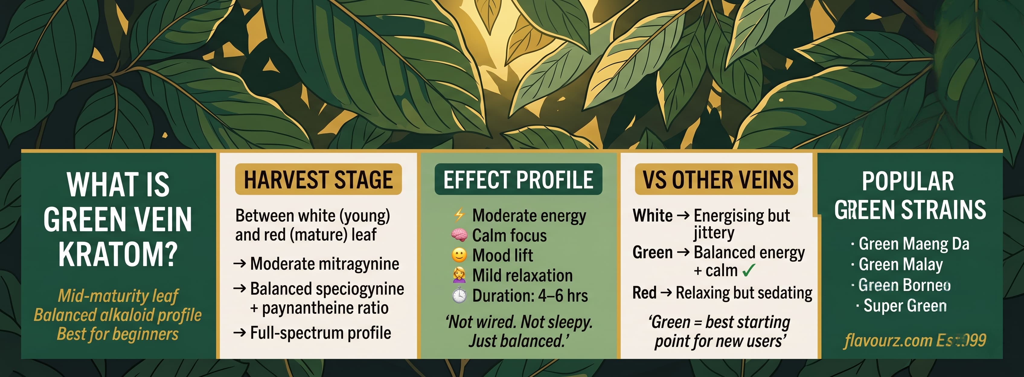 infographic for What Is Green Vein Kratom